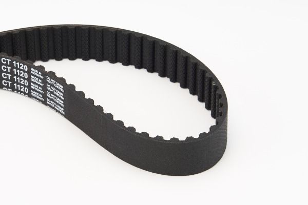 BELTPIC_CT1120.JPG