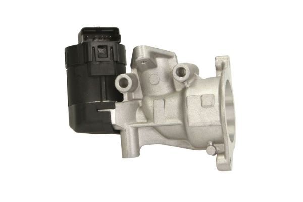 EGR Valve ENT500055