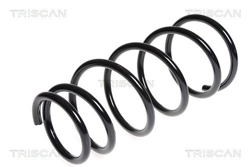 8750 6832 TRISCAN futómű rugó