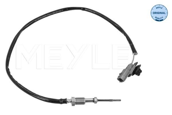 Sensor, Abgastemperatur