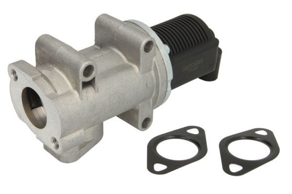 EGR Valve ENT500012