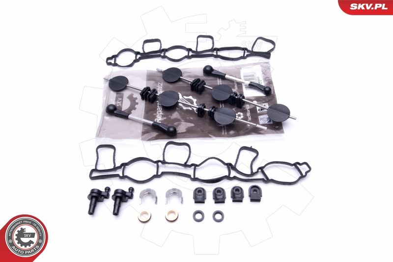 Repair Kit, intake manifold module 49SKV500