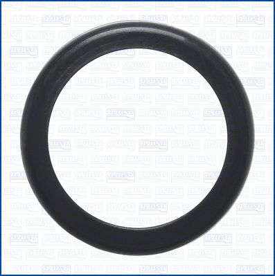 Junta anular, manguera de admisión (caja de filtro de aire)