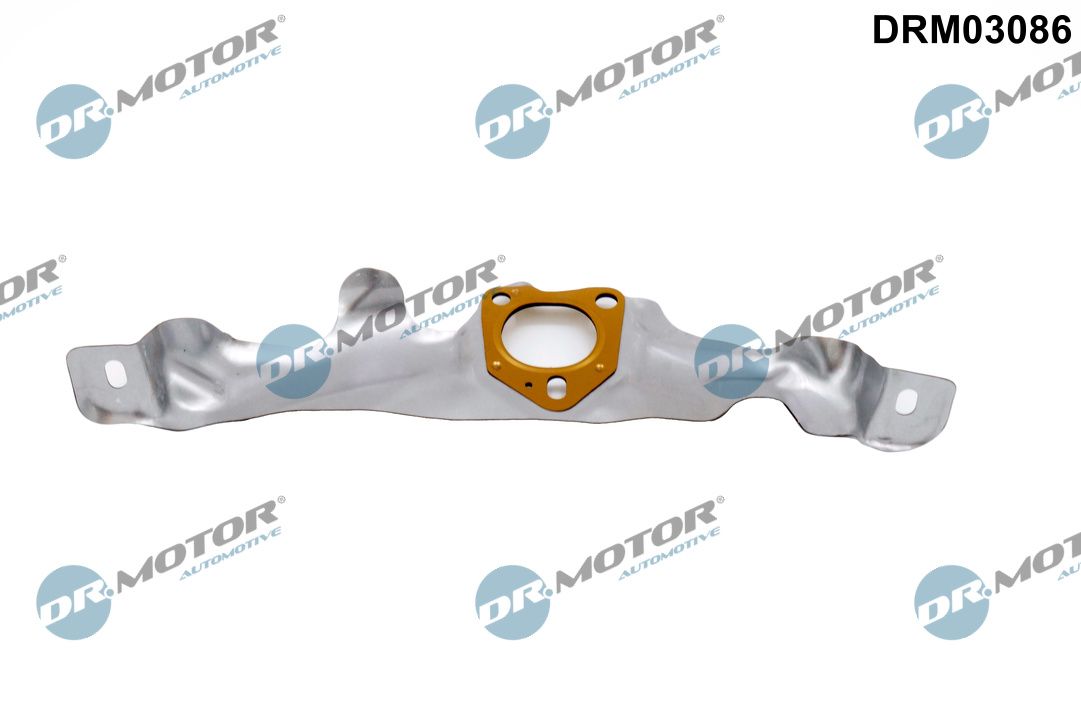 Dr.Motor Automotive DRM03086 - Dichtung, Lader