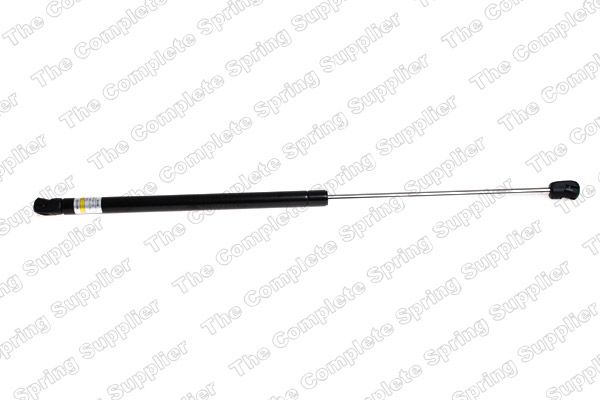 Gasfeder, Koffer-/Laderaum