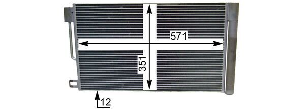 293290485.JPG