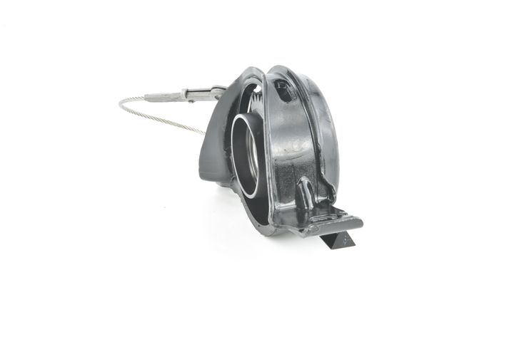 guolis, kardaninio veleno centrinis guolis