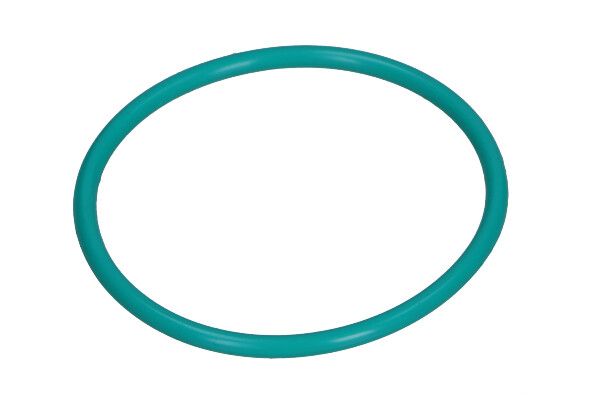 Dichtung, AGR-Ventil