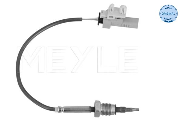 Sensor, Abgastemperatur