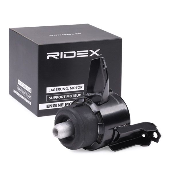 RIDEX 247E0410 Holder, engine mounting system