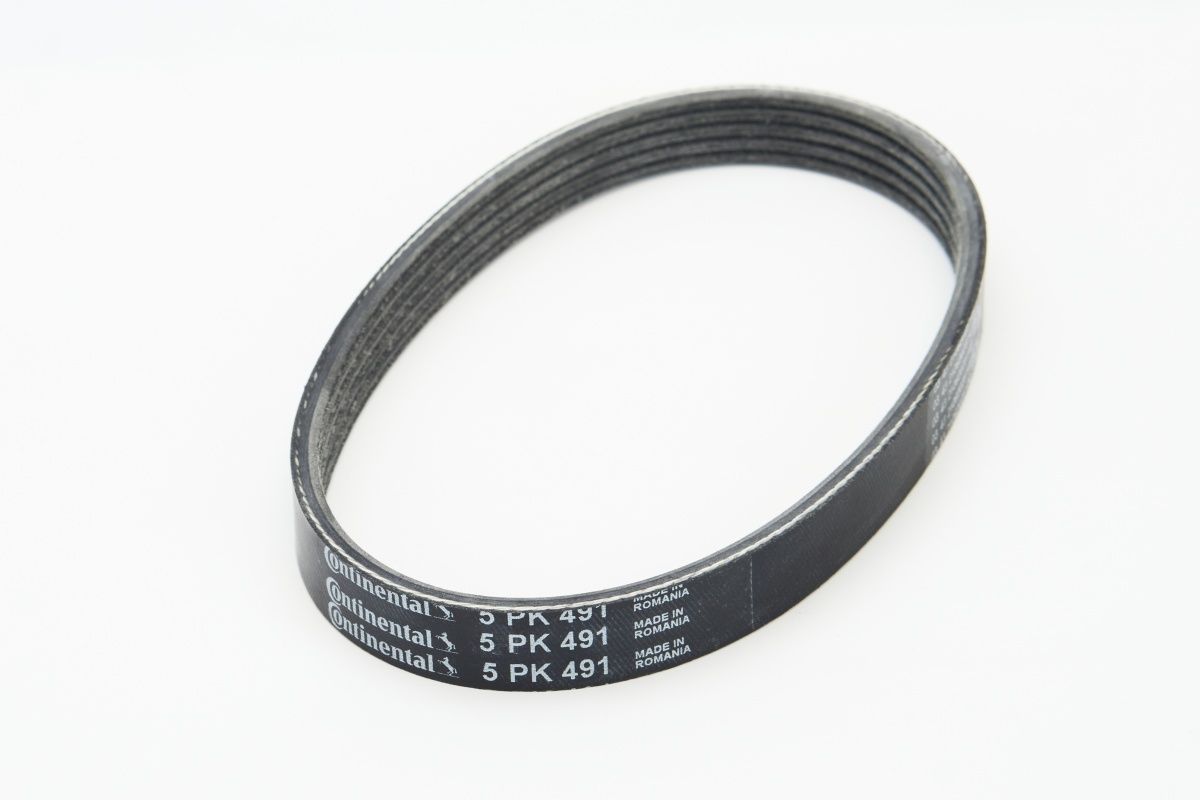 CONTINENTAL CTAM 5PK491 - Keilrippenriemen