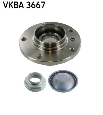 VKBA 3667.JPG