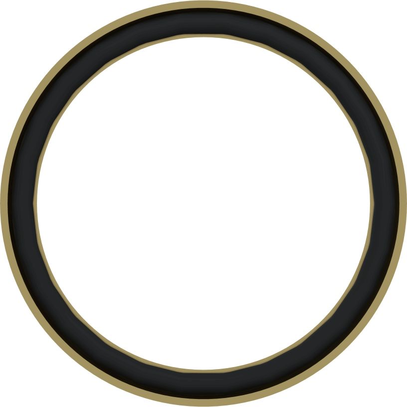 Druckring