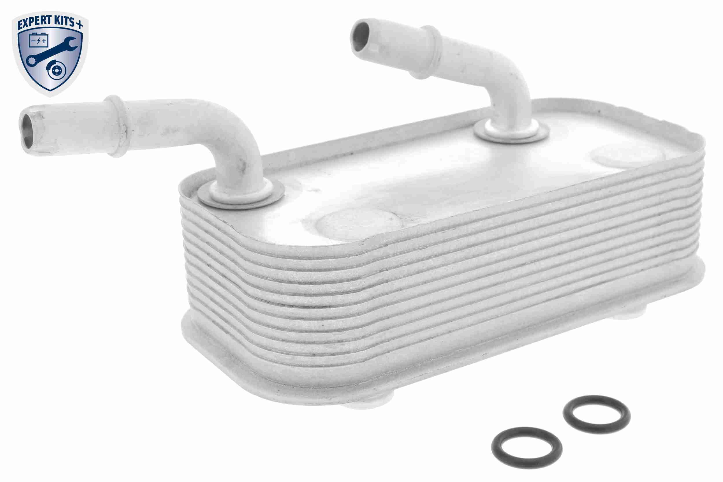 &Ouml;lk&uuml;hler, Motor&ouml;l