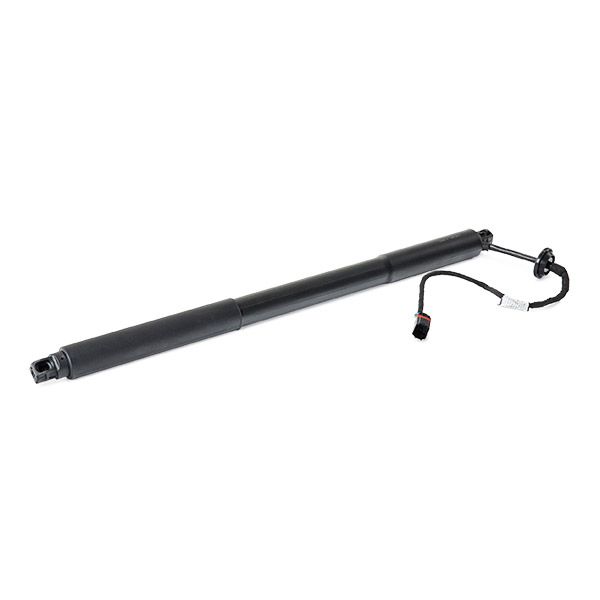 RIDEX 219G1034 Electric Motor, tailgate