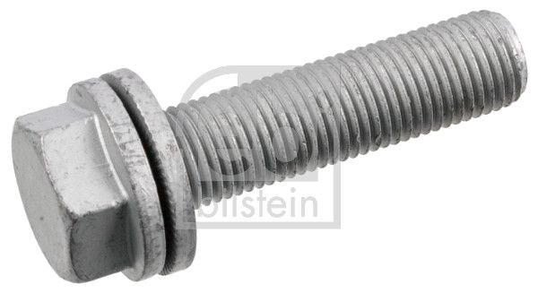 Schraube, Bremssattel