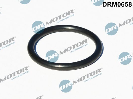 Dr.Motor Automotive DRM0658 - Dichtung, Turbineneinlass (Lader)