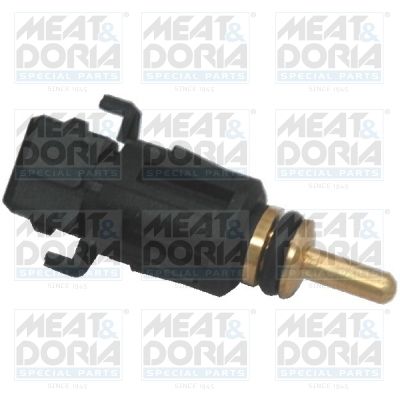 Sensor, coolant temperature 82189