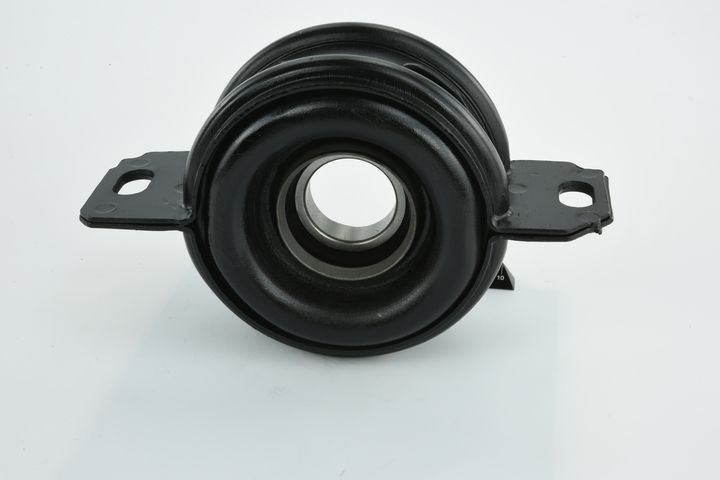 guolis, kardaninio veleno centrinis guolis