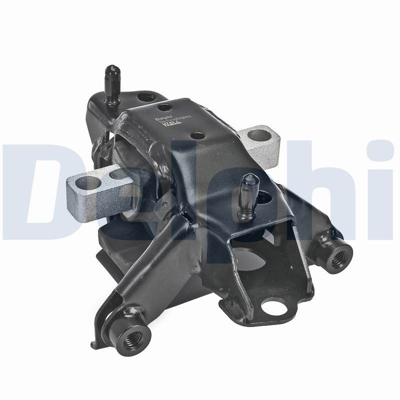 DELPHI TEM266 - Lagerung, Motor