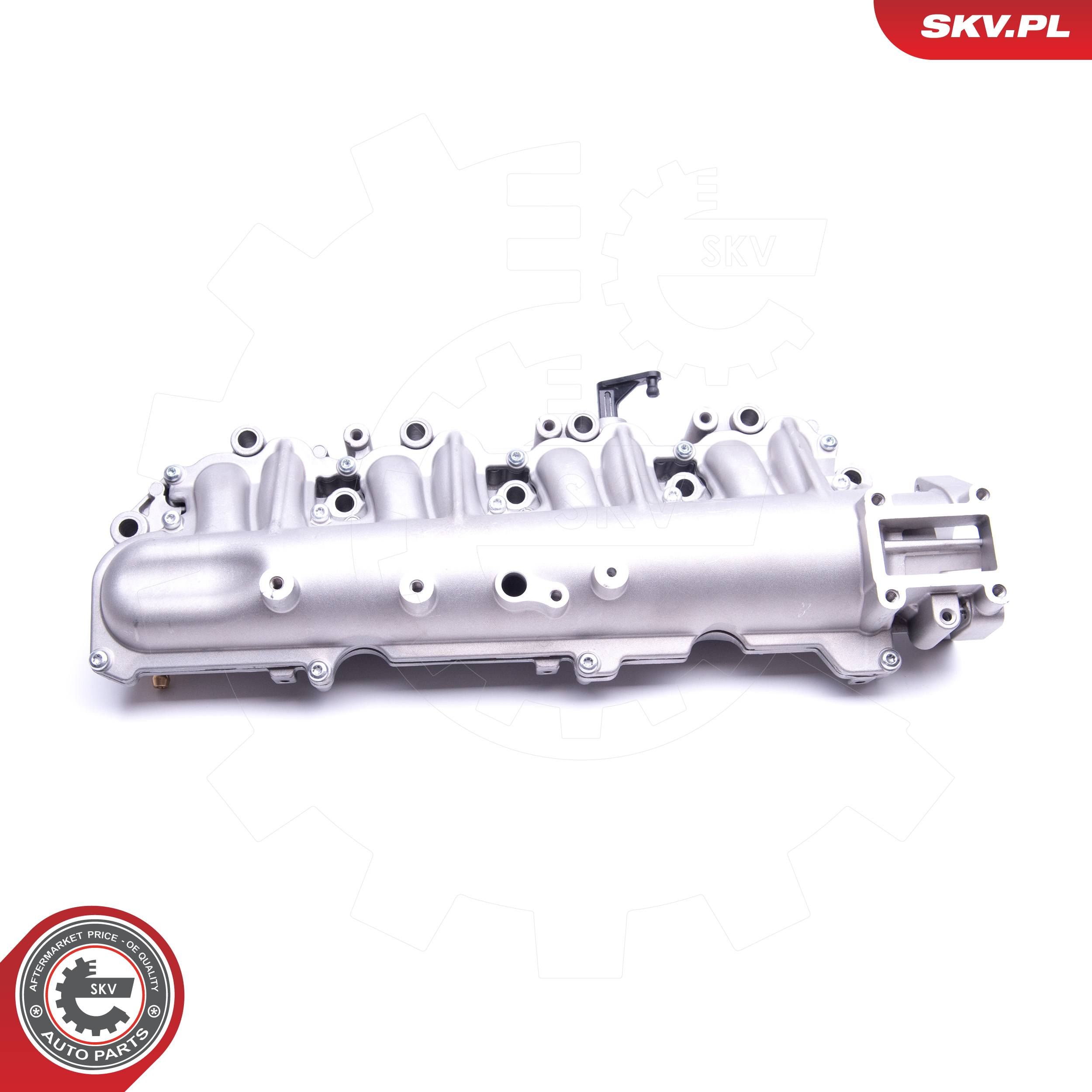 ESEN SKV 49SKV029 - Saugrohrmodul