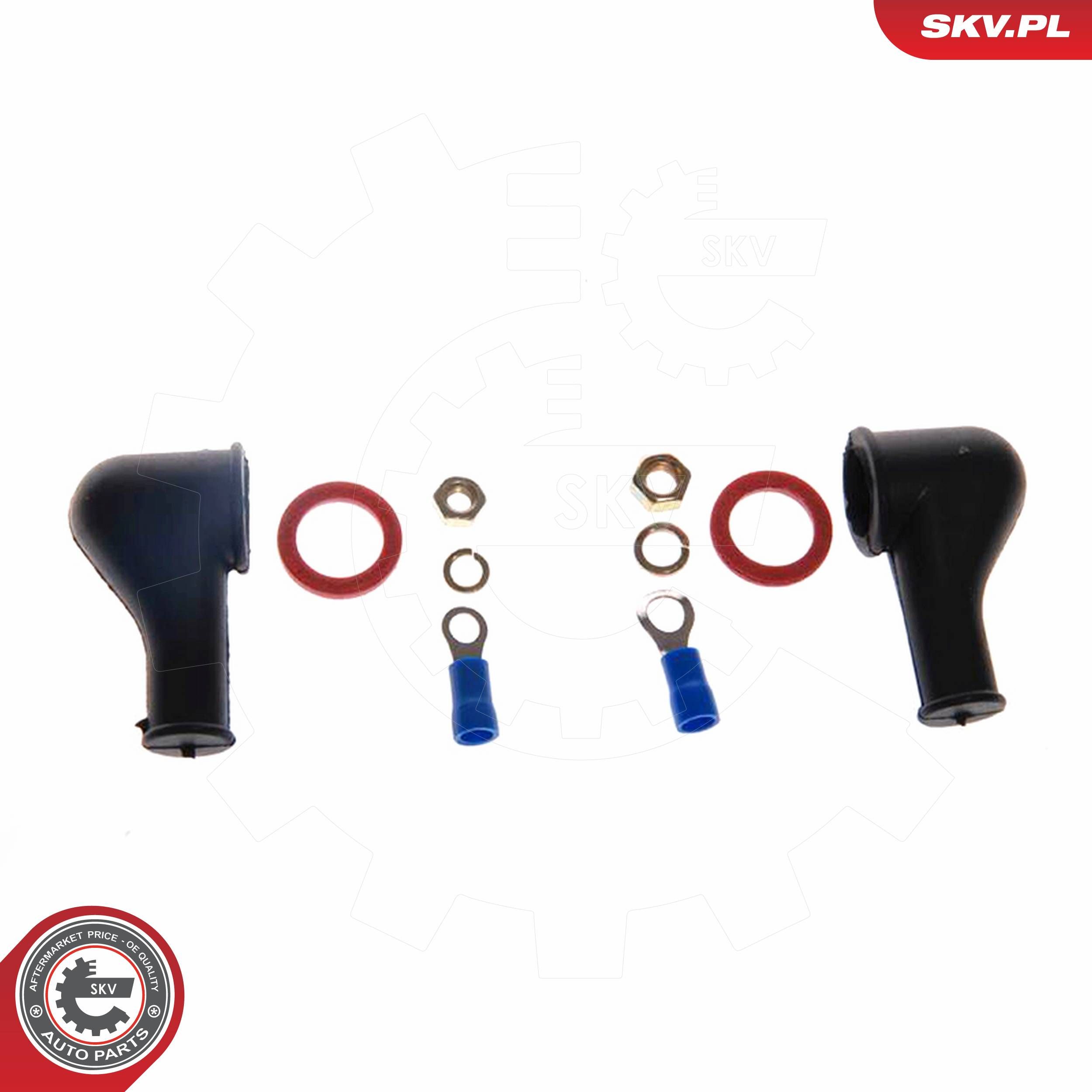 ESEN SKV 02SKV010 - Kraftstoffpumpe