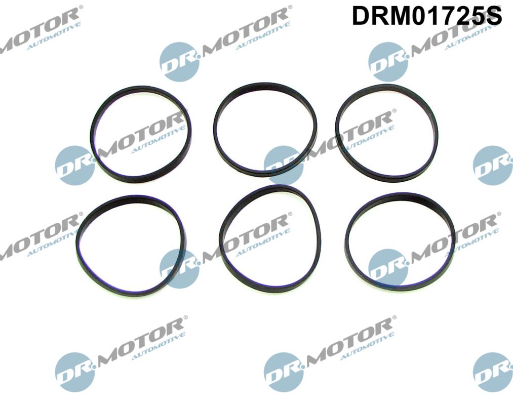 Dr.Motor Automotive DRM01725S Gasket Set, intake manifold
