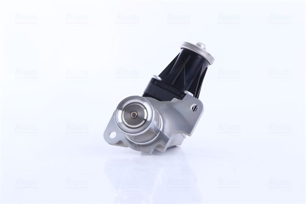 EGR Valve 98401