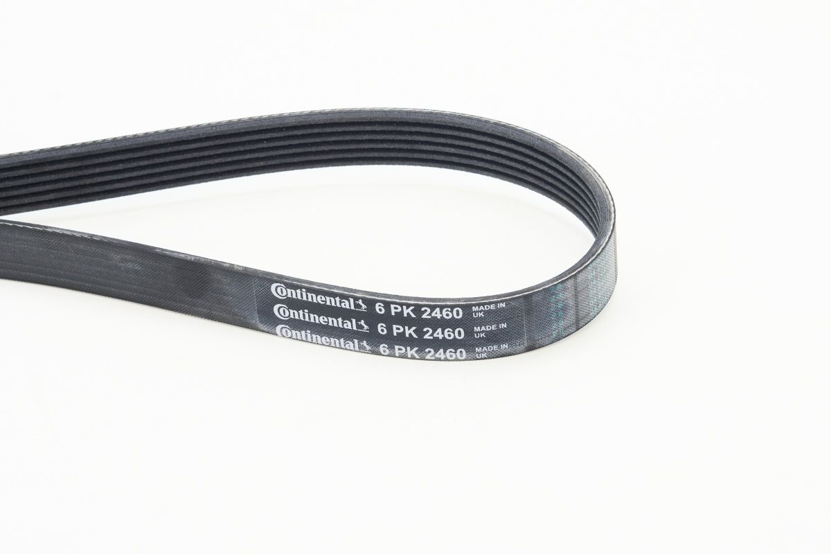 CONTINENTAL CTAM 6PK2460 - Keilrippenriemen