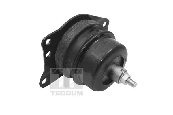 TEDGUM TED40385 Mounting, engine