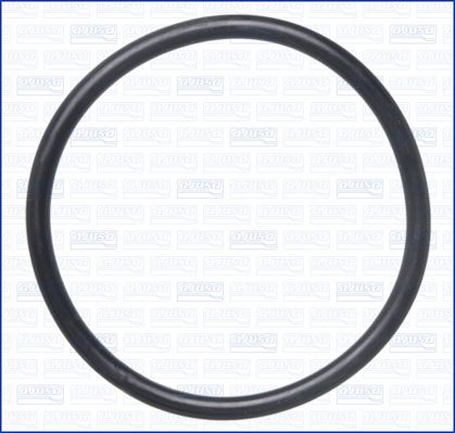 Junta anular, manguera de admisión (caja de filtro de aire)