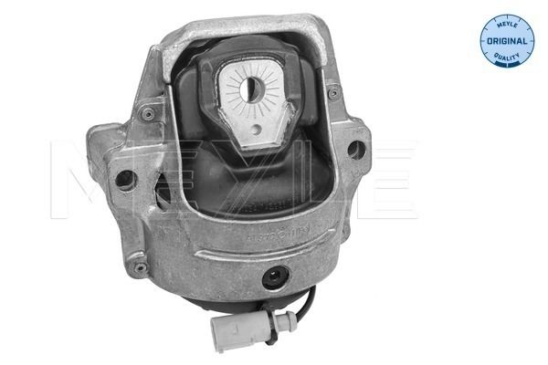 FS_1001991009_1.JPG