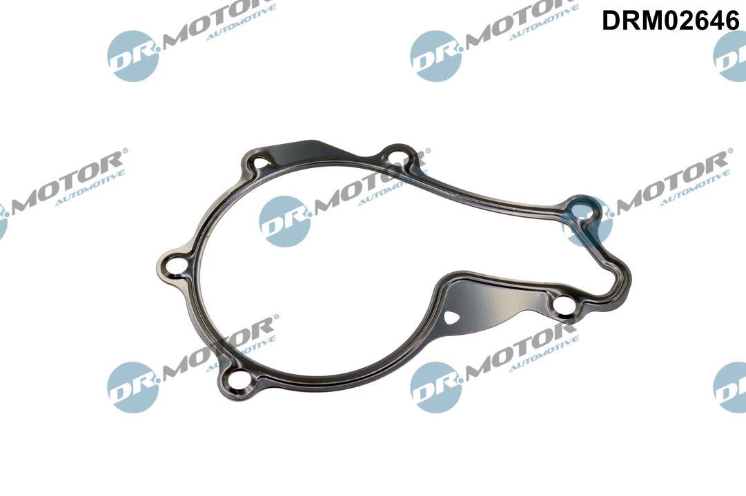 Dr.Motor Automotive DRM02646 - Dichtung, Wasserpumpe