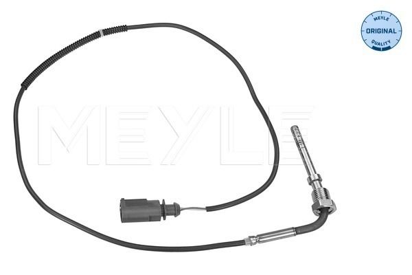 Sensor, Abgastemperatur
