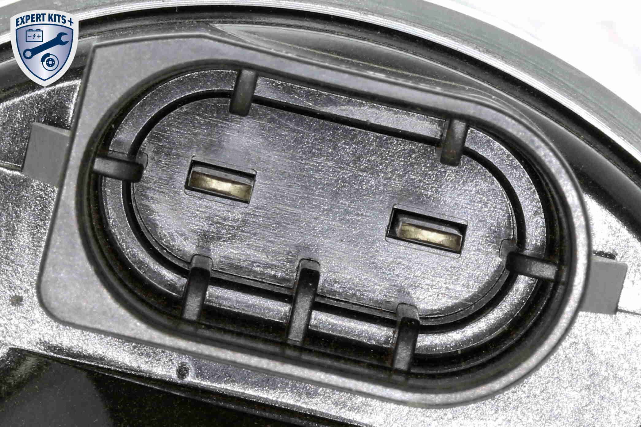 Stellelement, Exzenterwelle (variabler Ventilhub)