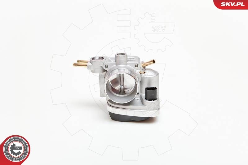 Throttle Body 12SKV037