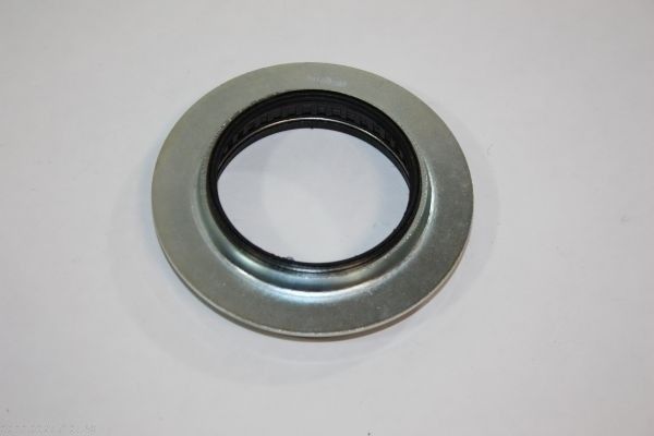 W&auml;lzlager, Federbeinst&uuml;tzlager