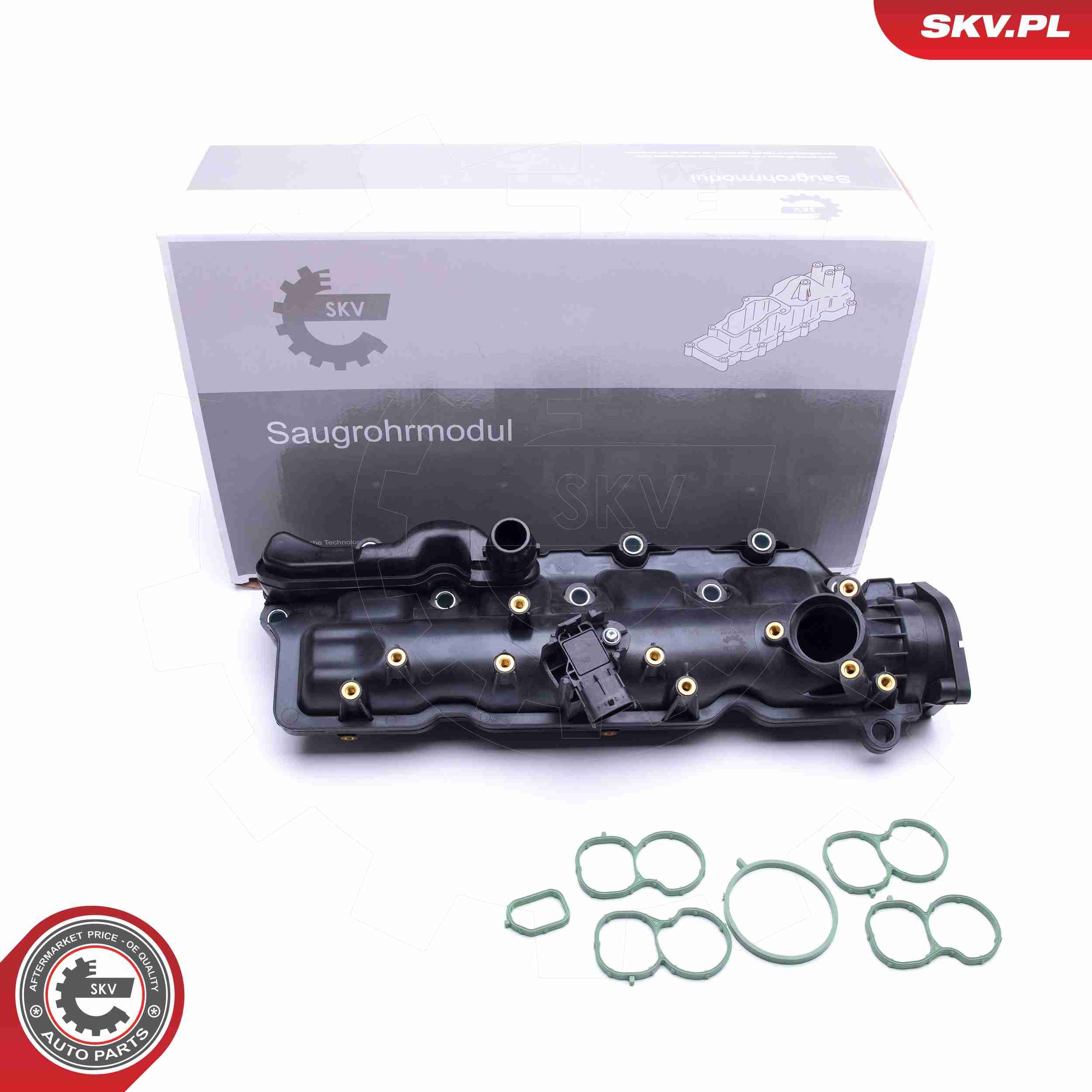 ESEN SKV 49SKV024 - Saugrohrmodul