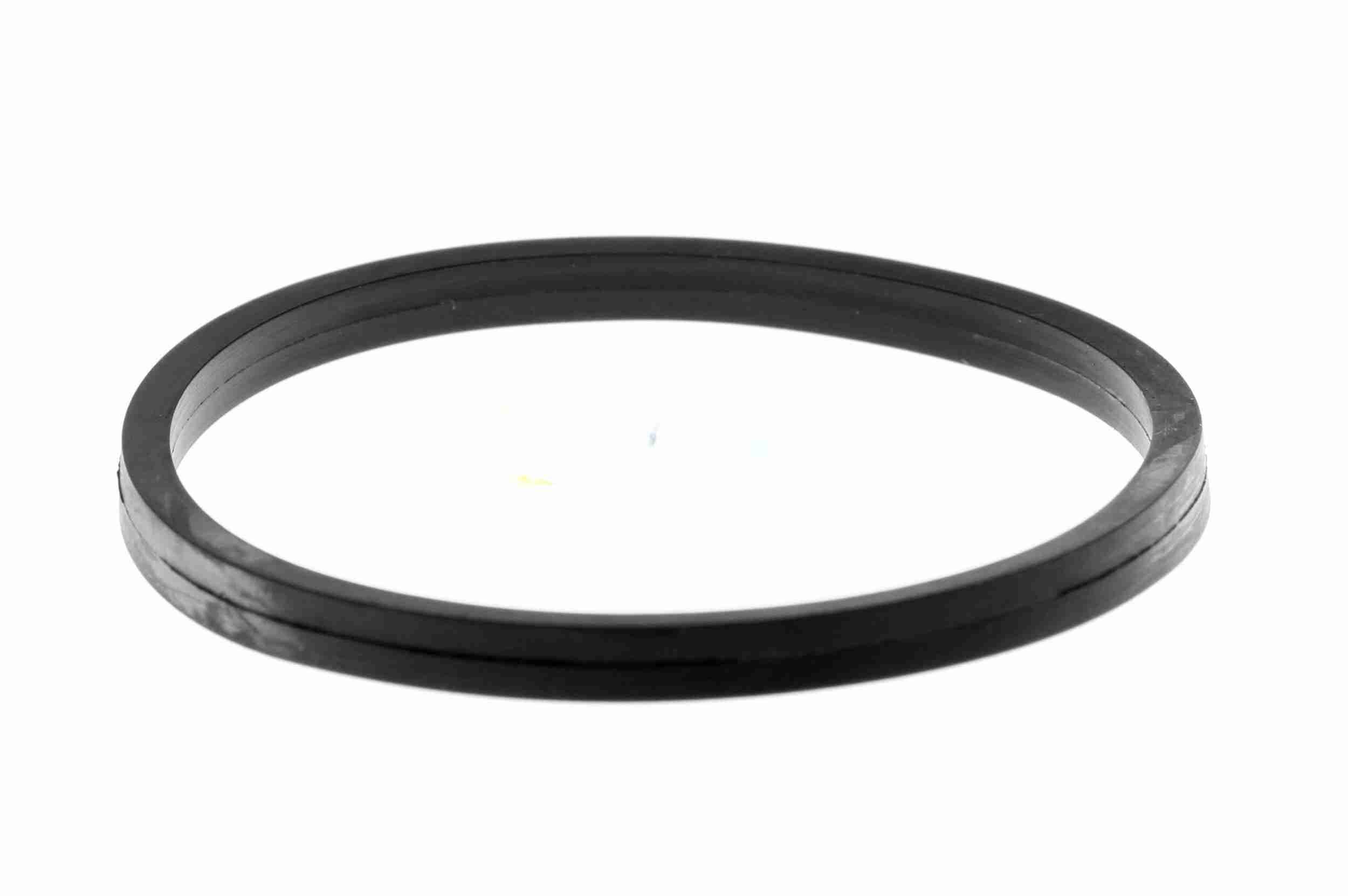 Dichtung, Thermostat