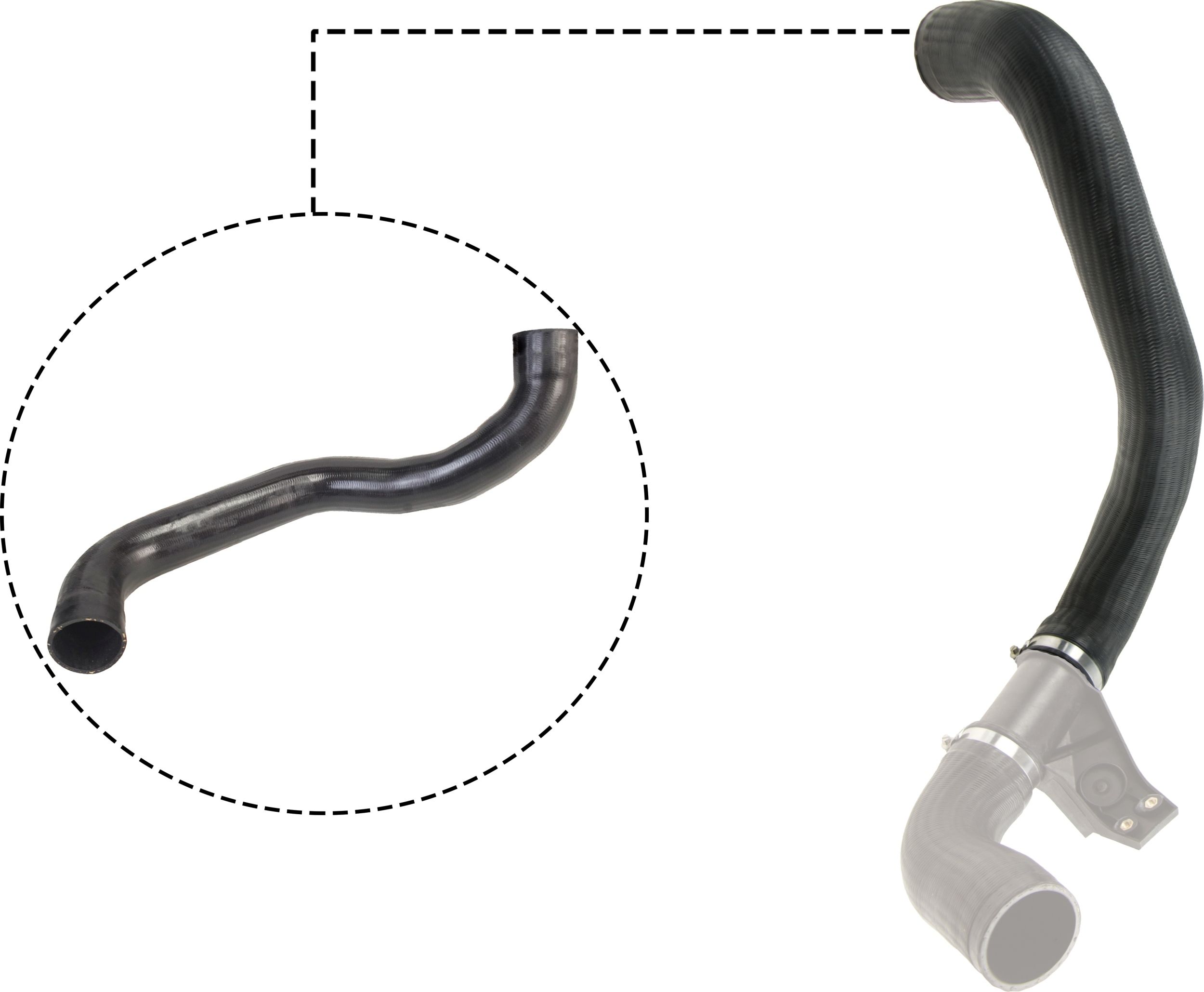 RAPRO R28300 - Ladeluftschlauch