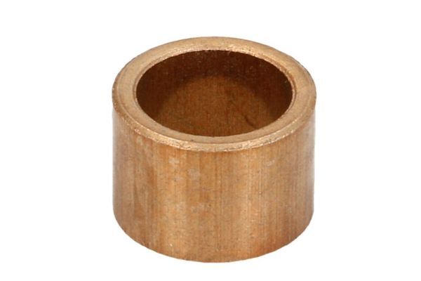 Kollektorlagerbuchse, Starter