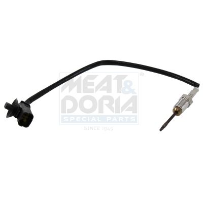 Sensor, Abgastemperatur