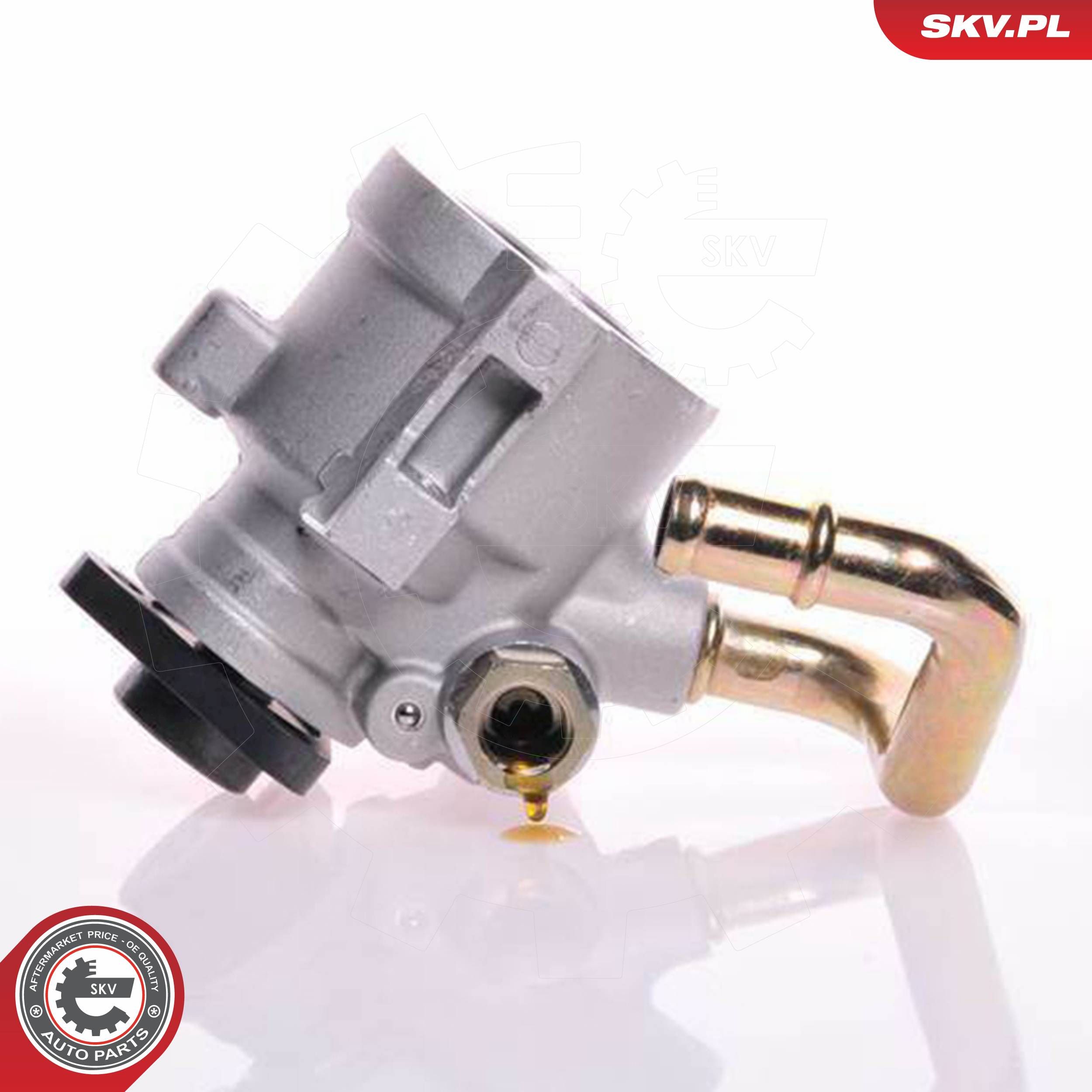 ESEN SKV 10SKV149 - Hydraulikpumpe, Lenkung