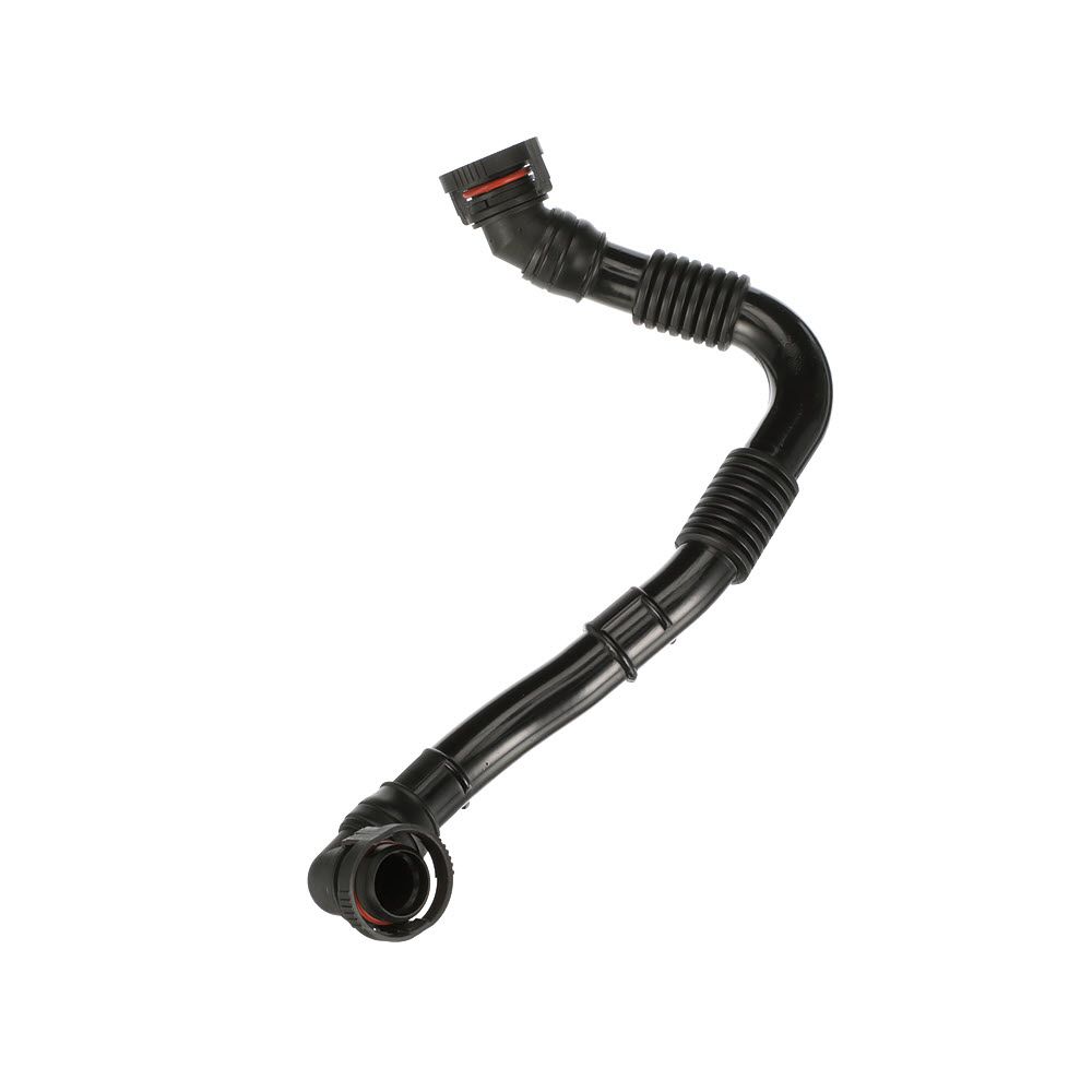 žarna, karterio alsuoklis