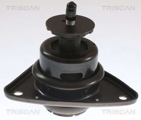 8505 43101 TRISCAN felfüggesztés, motor