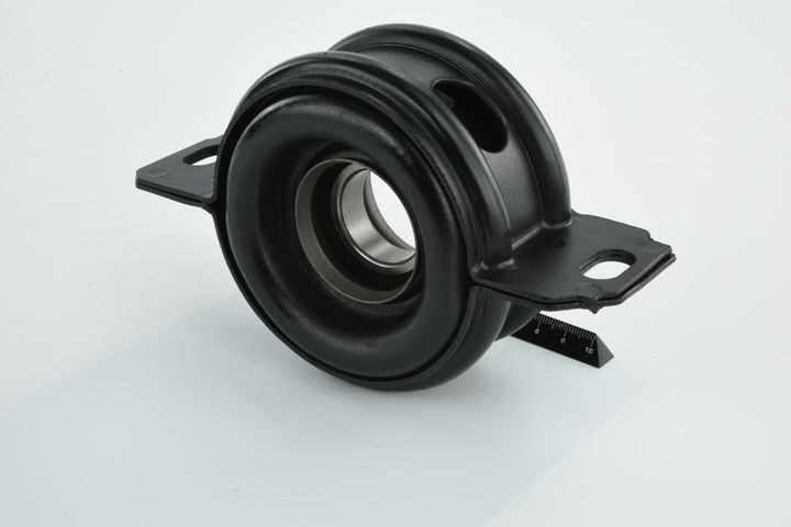 guolis, kardaninio veleno centrinis guolis