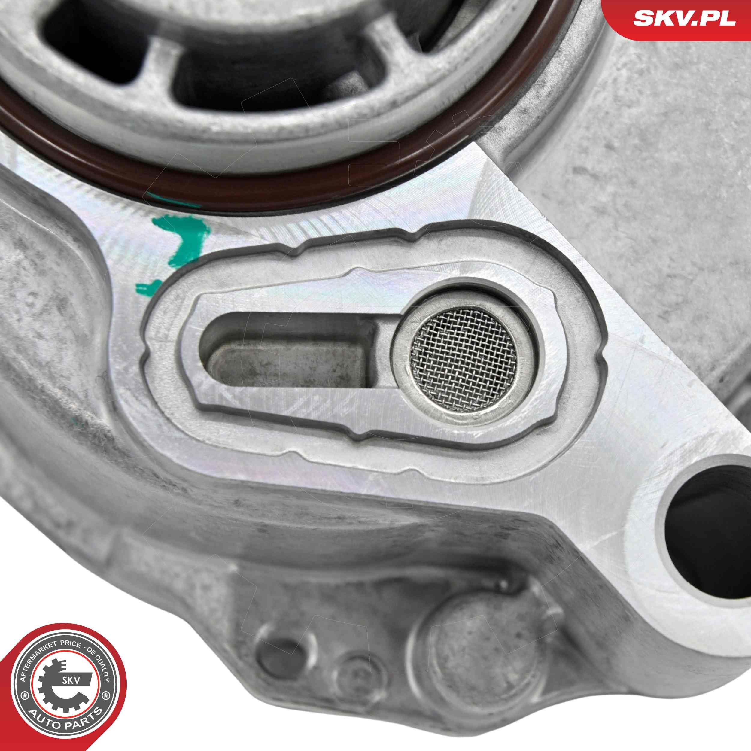 Unterdruckpumpe, Bremsanlage