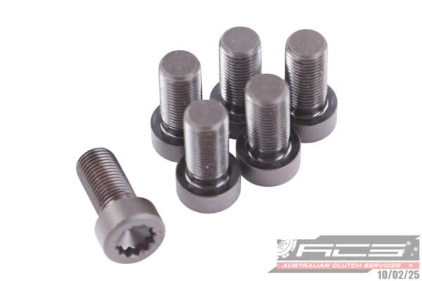 BOLT SET F/W PORS 12x1.25x25.4 (6) 132Nm - TecDoc Only