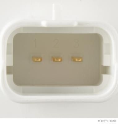 Sensor, Abgasdruck