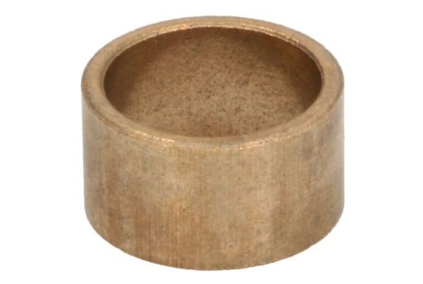 Buchse, Starterwelle